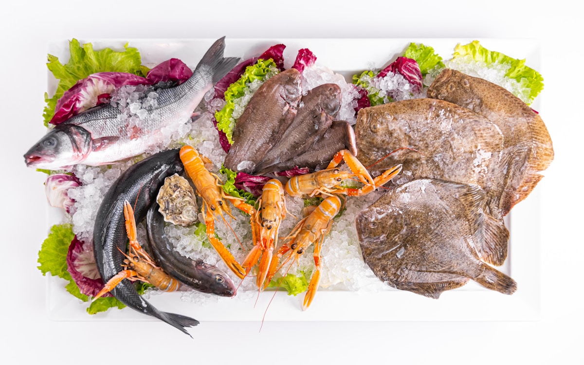 Fresh grilled fish with tahini and salads at an Alexandria harbour restaurant