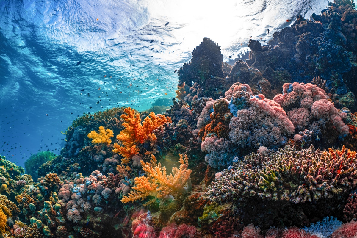 Marsa Alam