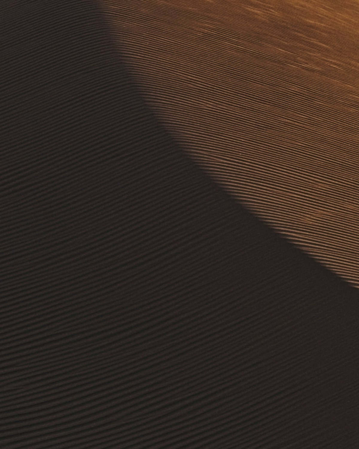 Desert sand dune with dramatic light and shadow, Egypt